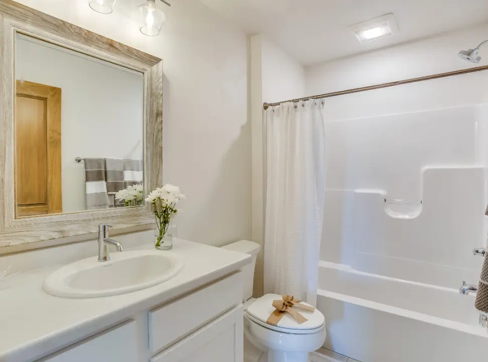 Luxury Bathroom Remodeling In Johnson City
