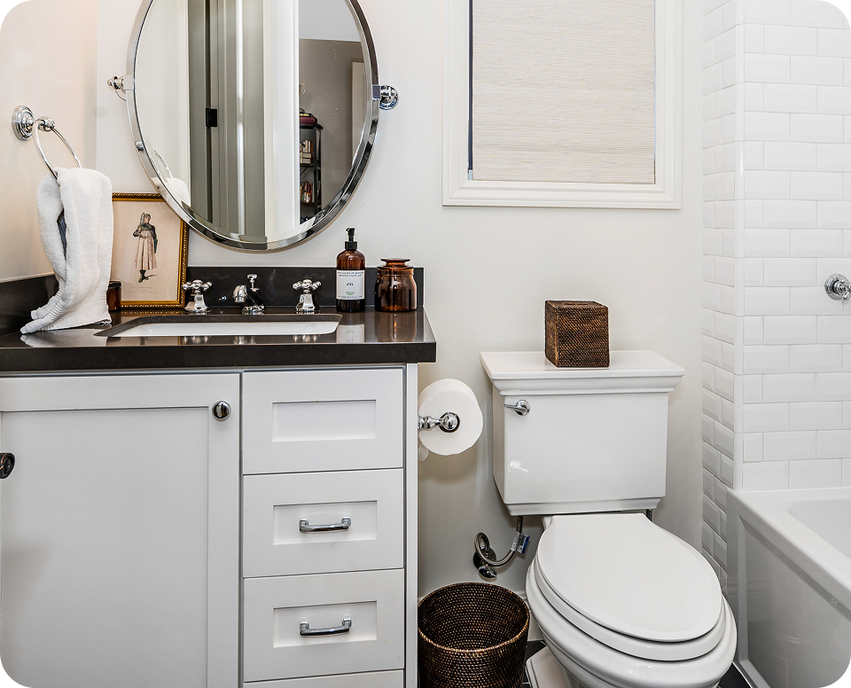 Contemporary Bathroom Vanity