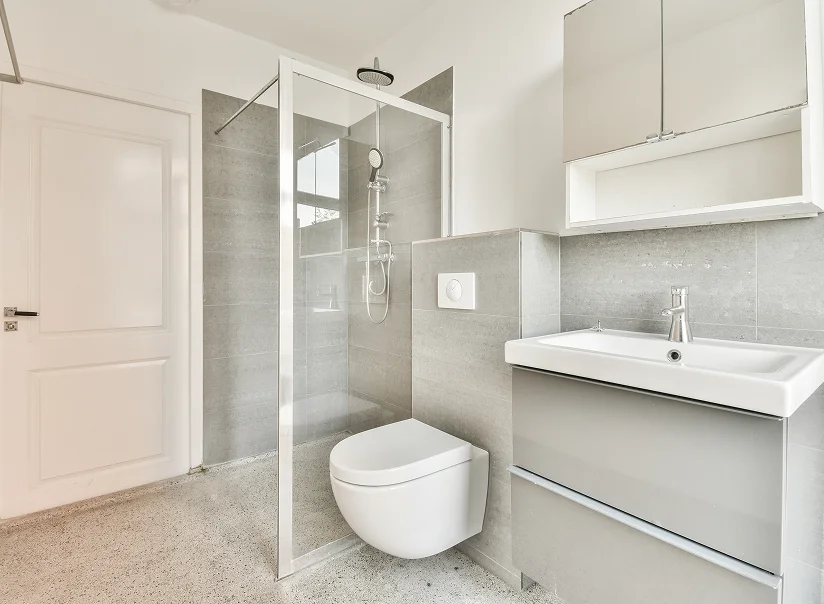 Modern Bathroom Remodel Tennessee