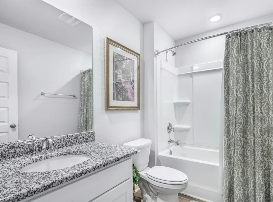 Bathroom Remodel Ideas On A Budget